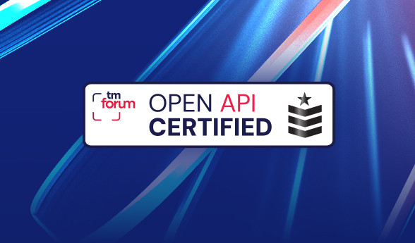 Open API Platinum Level